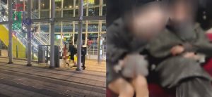 RGB恋愛応援団が解説｜工作成功率を左右する“調査稼動”とは？その実態と重要性を徹底解説